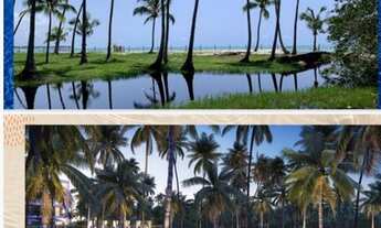 Imagem 3: Apartamento STUDIO venda com 26 m² - 1 quarto em Praia dos Carneiros - Tamandaré - PE