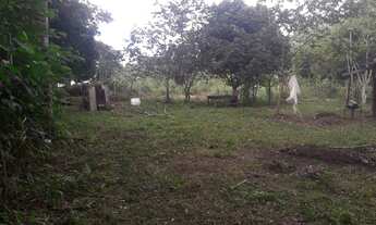 Imagem: Terreno com uma casa