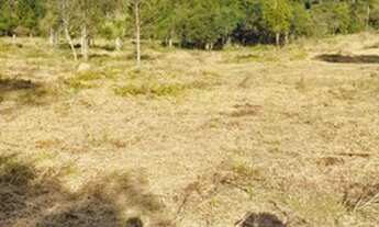 Imagem 4: RM. Lotes em condomínio fechado , em Ibiúna km 57