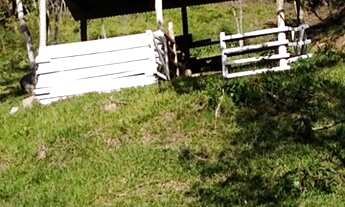 Imagem 3: Sitio com casa - 4 hectares