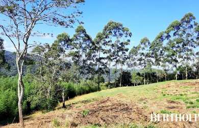 Imagem 5: PENEDO - Terreno Padrão - Fazendinha