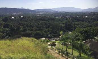 Imagem 2: Linda área verde