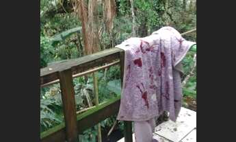 Imagem 4: Casa em local calmo próximo Praia do Ouvidor