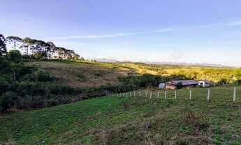 Imagem 4: Fazenda/Sítio/Chácara para venda possui 85962 metros quadrados em Jardim Karla - Pinhais