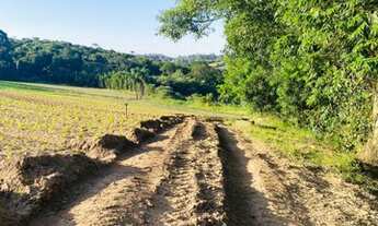 Imagem 5: Terrenos Planos e Limpos Para Sua Casa de Campo em Ibiúna