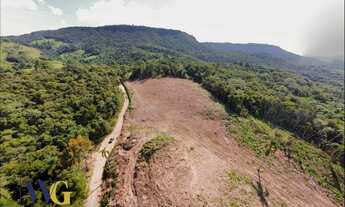 Imagem 4: Terreno para Venda em Campo Largo, Faxina