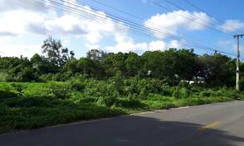 Imagem 3: Terreno proximo Ce 040&gt