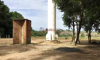 Imagem 4: Fazenda para Soja + pivô em Santa Rosa ,Tocantins, com 945 hectares