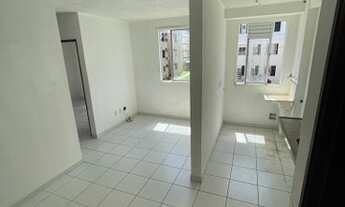 Imagem: Ideal samambaia