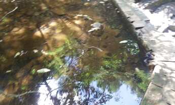 Imagem 5: Fazenda/Sítio/Chácara para venda possui 38000 metros quadrados em PORTO FELIZ - Porto Feli