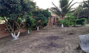 Imagem 5: Sítio em Chã Grande