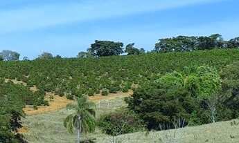 Imagem 4: Fazenda/sítios/chácaras com 1 dormitório à venda em Nepomuceno