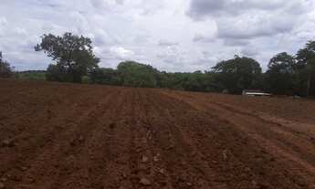 Imagem 6: Chácara município Piracanjuba-Go