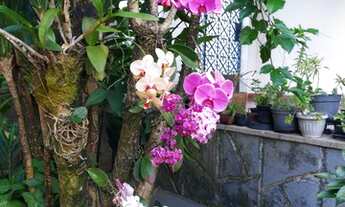 Imagem 7: Casa a venda na Boa Vista de Brotas