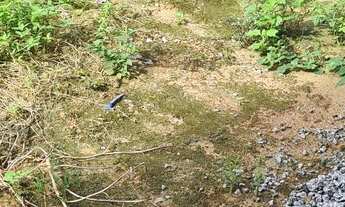 Imagem: Vendo Terreno no bairro do São Jorge