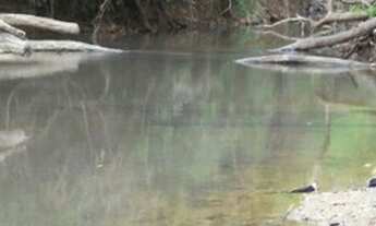 Imagem 3: Chácara município Piracanjuba-Go