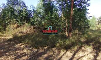 Imagem 4: OPORTUNIDADE .. CHÁCARAS DE 700 M² EM ANGICOS