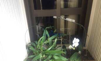 Imagem 2: Apartamento com 4 dormitórios à venda, 557 m² por R$ 1.400.000 - Vila Suzana - São Paulo/S