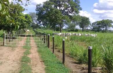 Imagem 2: Maravilhosa Chácara em Jardim MS