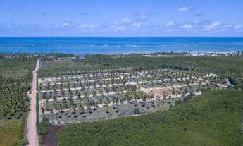 Imagem 7: REPASSE TERRENO LOTEAMENTO PRAIA BELLA - São José da Coroa Grande