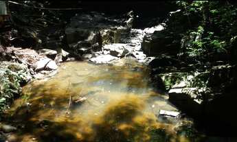 Imagem 3: Fazenda/Sítio/Chácara para venda possui 38000 metros quadrados em PORTO FELIZ - Porto Feli