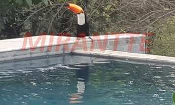 Imagem 4: Linda casa em Centro