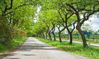 Imagem 7: TERRENO CONDOMÍNIO PRIMAVERA