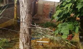 Imagem 4: Venda de Terreno 112,5 m2 - Ubaíra - Bahia