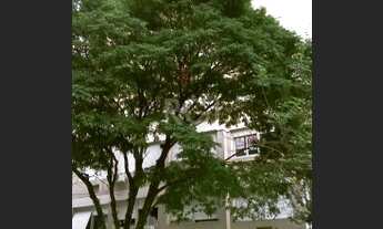 Imagem: Porto Alegre - Kitchenette/Conjugados