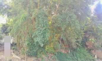 Imagem: 06016 - Terreno, VILA SANTOS - SÃO PAULO/SP