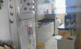 Imagem 6: CANOAS - Padrão - Igara