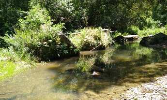 Imagem 5: Sitio com casa - 4 hectares