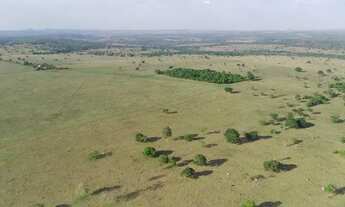 Imagem: R$ 125.000.000 Fazenda 817 alqueires Região