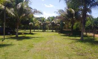 Imagem 5: Vende-se Chácara com venda por R$200.000