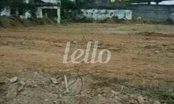 Imagem 4: São Paulo - Terreno Padrão - Ipiranga