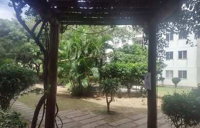 Imagem 3: Apartamento para aluguel tem 56 metros quadrados com 2 quartos