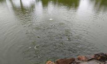 Imagem 2: Chácara em varjao