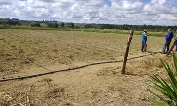 Imagem 2: Fazendinha chácara DF Alexandre Gusmão Brazlândia