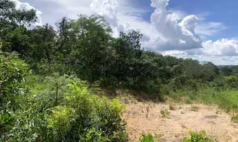 Imagem 5: Chácara 1700m², Energia, Arborizada, 600m Rod. 4km Aragoiânia