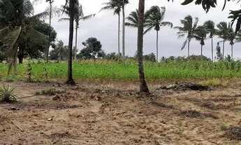 Imagem 3: Vende-se sítio Chácara com venda por R$135.000