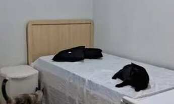 Imagem 5: Quarto mobiliado para mulher