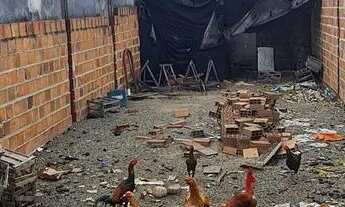 Imagem 4: Vendo terreno no papagaio próximo a Fragamaia ao lado do condomínio Havena