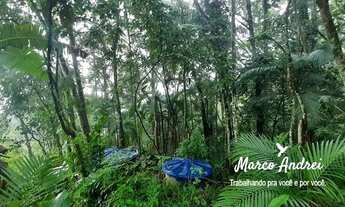 Imagem 4: Terreno 4.300 m² com uma casa em Santo Amaro da Imperatriz