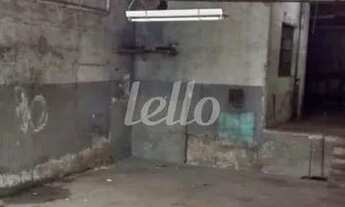 Imagem 6: São Paulo - Galpão/Depósito/Armazém - Água Rasa