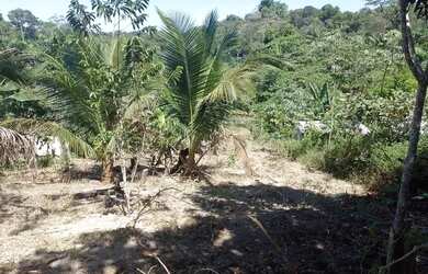 Imagem 4: Venda Chácara com venda por R$35.000