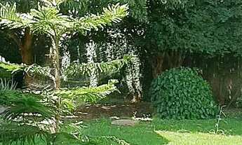 Imagem 2: Sobrado Privê Atlântico