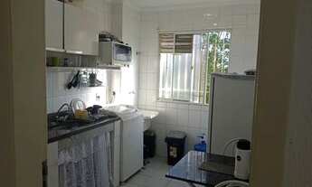 Imagem: Procuro colega de quarto