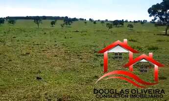 Imagem 4: Fazenda 127 Alqueires Região De Santa Rita Do Pardo/MS