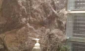 Imagem 6: São Paulo - Casa Padrão - Carrão