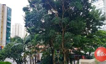 Imagem 4: São Paulo - Apartamento Padrão - Moema